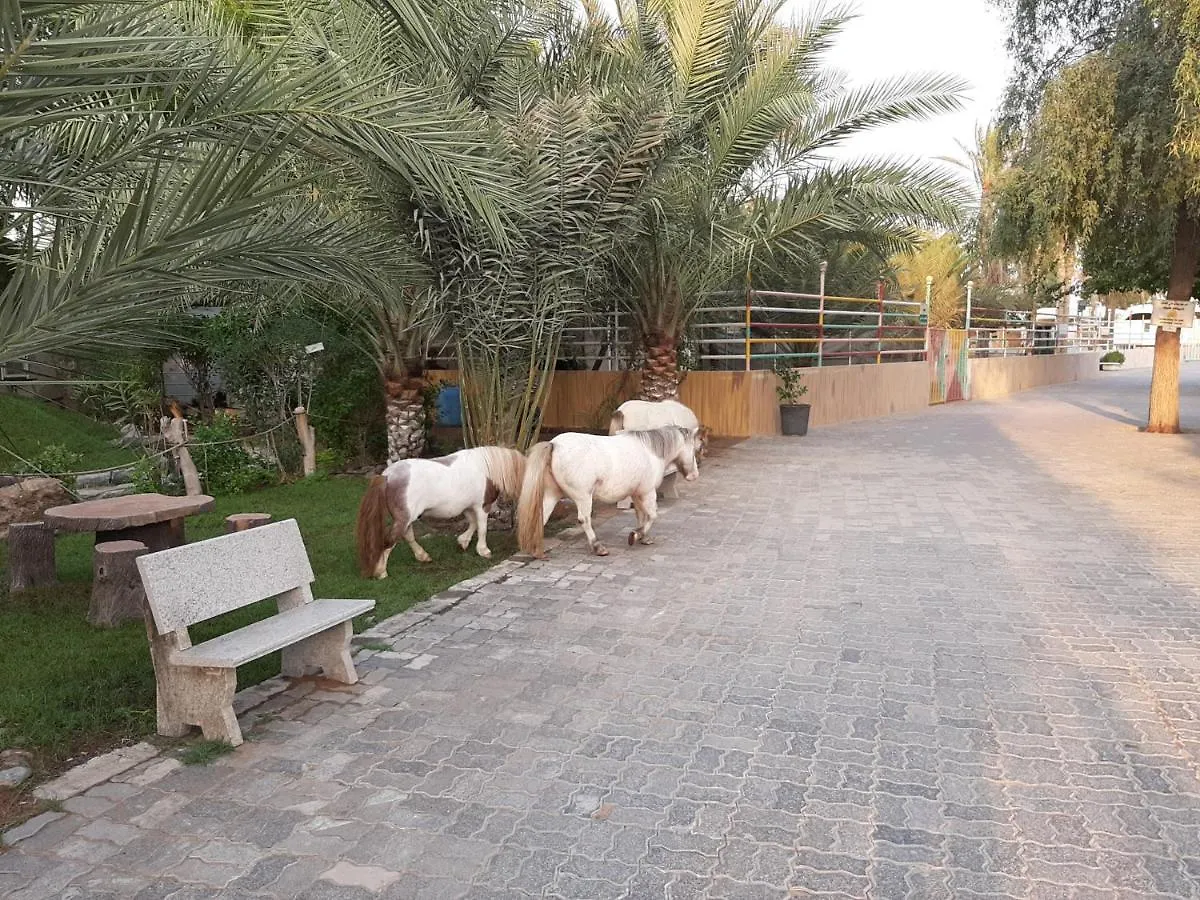 **  Daraysh Hotel Adh Dhayd United Arab Emirates